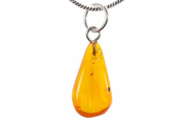 Polished Baltic Amber Pendant (Necklace) - Contains Insects! #270702